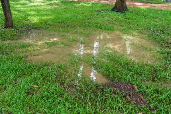 Storm Water Drainage Service in West Bend