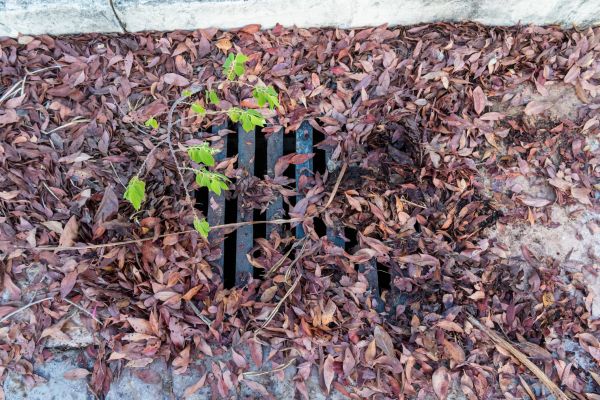 Yard Drain Unclogging in West Bend