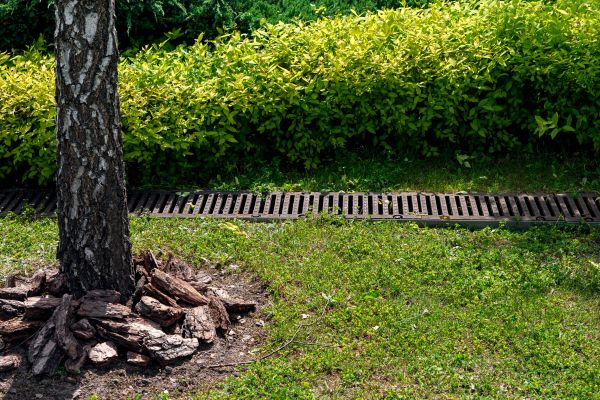 Cost of Yard Water Redirection in West Bend