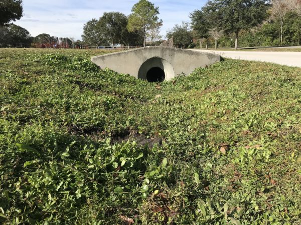 Cost of Swale Drainage Service in West Bend