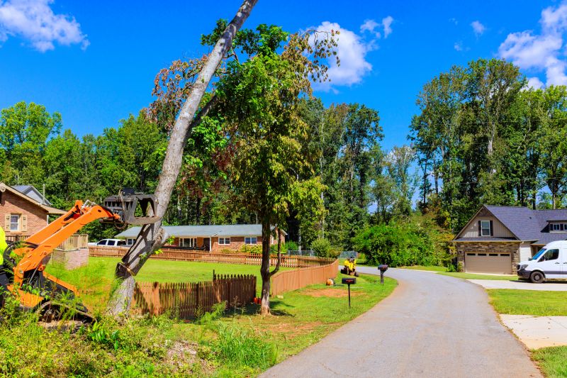 Soil Removal Process